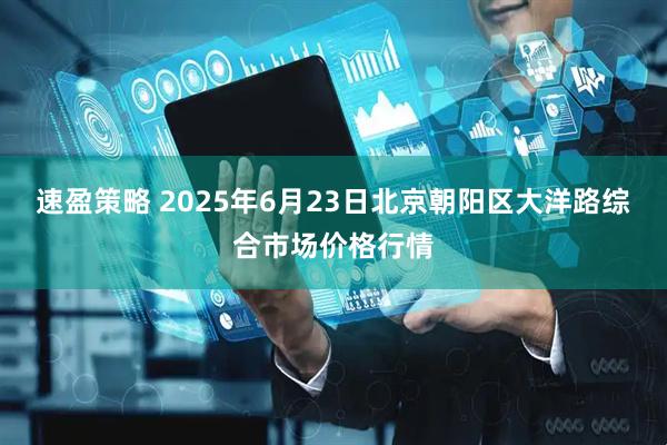 速盈策略 2025年6月23日北京朝阳区大洋路综合市场价格行情