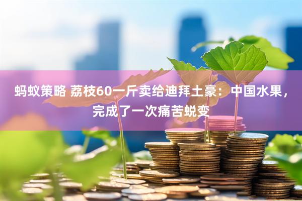 蚂蚁策略 荔枝60一斤卖给迪拜土豪：中国水果，完成了一次痛苦蜕变
