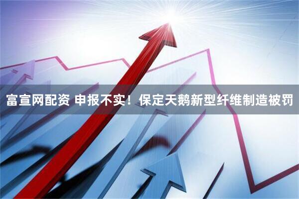 富宣网配资 申报不实！保定天鹅新型纤维制造被罚