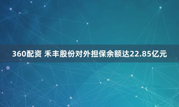 360配资 禾丰股份对外担保余额达22.85亿元