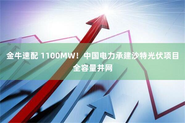 金牛速配 1100MW！中国电力承建沙特光伏项目全容量并网
