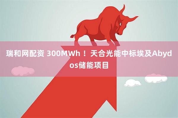 瑞和网配资 300MWh ！天合光能中标埃及Abydos储能项目
