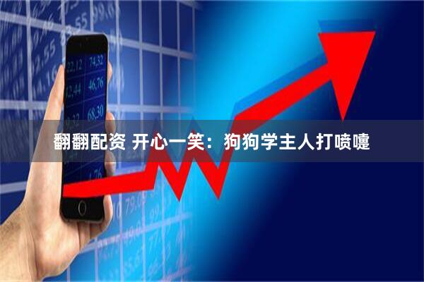 翻翻配资 开心一笑：狗狗学主人打喷嚏